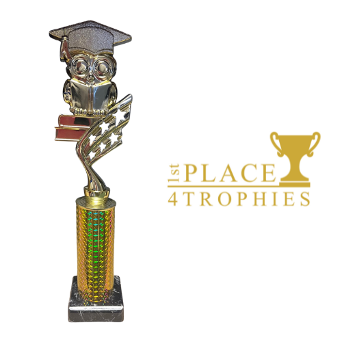 Reading Award National Year of Reading School Achievement Teacher TA Nursery 