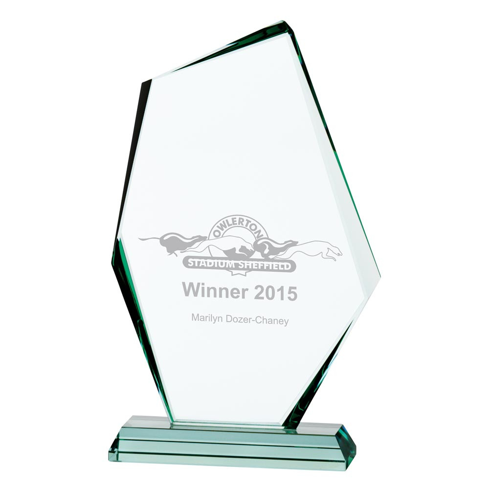Glass Discovery Award 280mm Personalised Laser Engraving & Full Colour Printing at 1st Place 4 Trophies