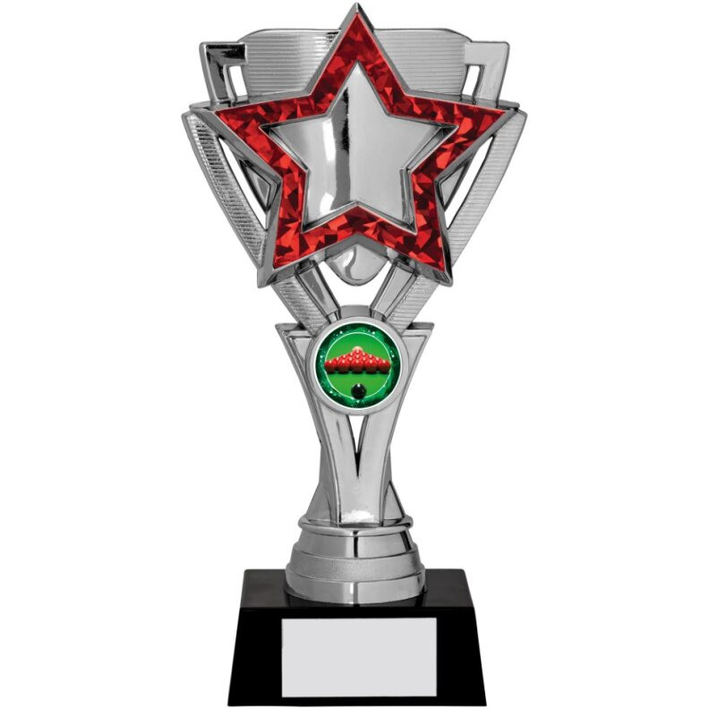 Red & Silver Star Award School Pupil Prize Trophy Student Achievement 