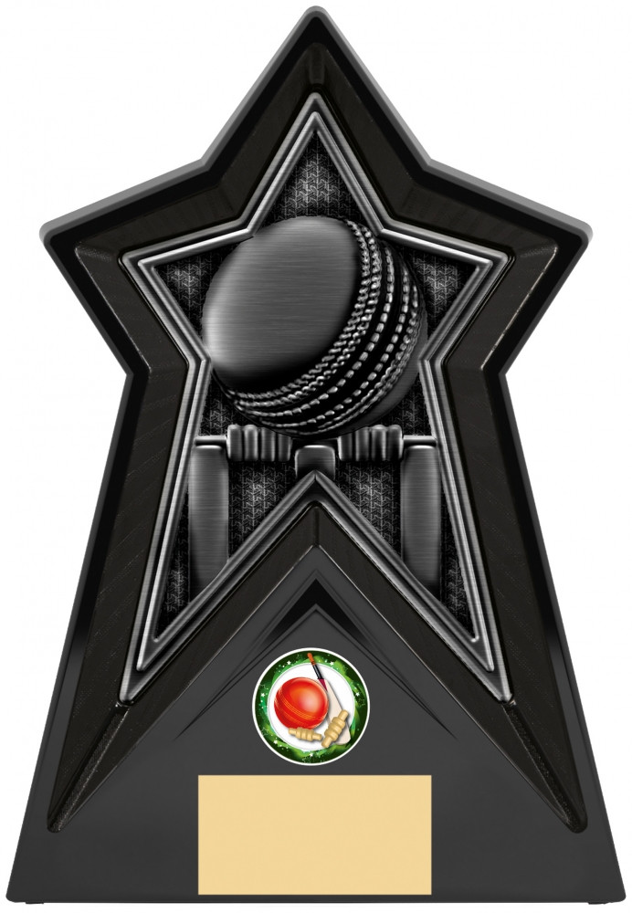  Cricket Award Star Force Trophy Personalised Engraving
