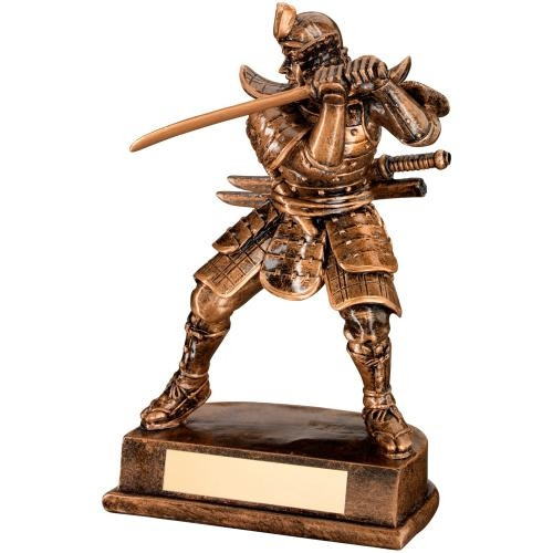 Martial Arts Trophies