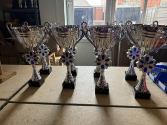 Presentation Cups and Shields: How to Choose the Right Award