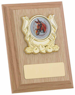 Light Oak Plaque for any sport or activity available in 3 sizes