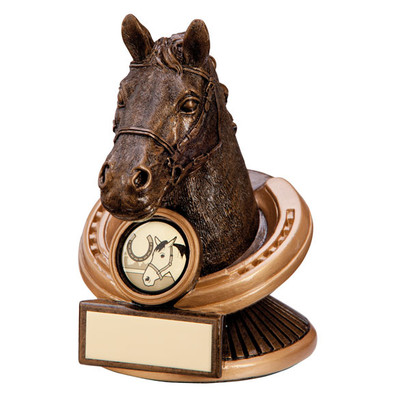 Endurance detailed 3D horse head in horse shoe equestrian award
