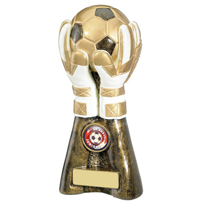 Goalkeeper Gloves holding  Football Award