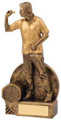 Male Gold Darts Player Award - personalised award from 1st Place 4 Trophies