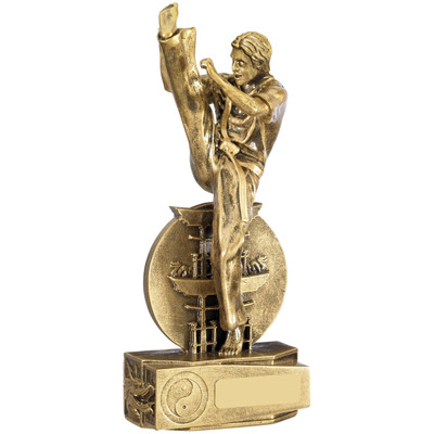 Martial Arts Trophy for Karate or Taekwondo specialism. RM208 from 1st Place 4 Trophies