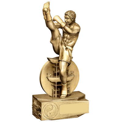 Kickboxing Martial Arts Trophy Award. Gold high kick Kickboxer RM982