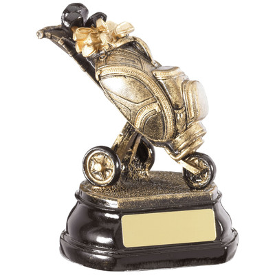 Golf Caddy bag novelty award perfect as a gift and includes FREE engraving