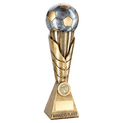 Managers Player End of Season Football Award