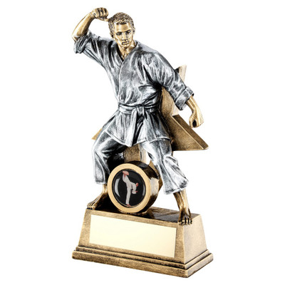 Martial Arts Award with FREE engraving