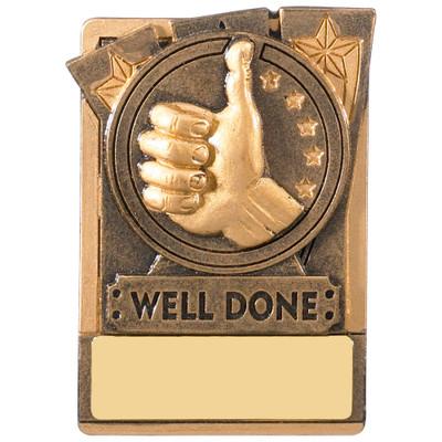 3" WELL DONE Magnetic Award with FREE engraving