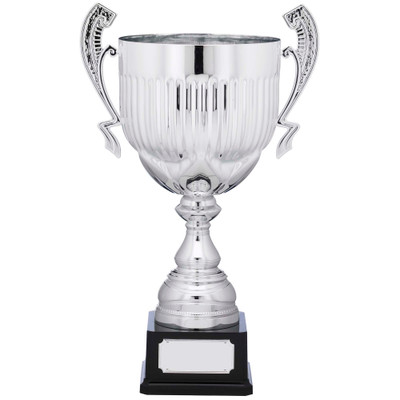 Silver presentation cup in 4 sizes & FREE engraving