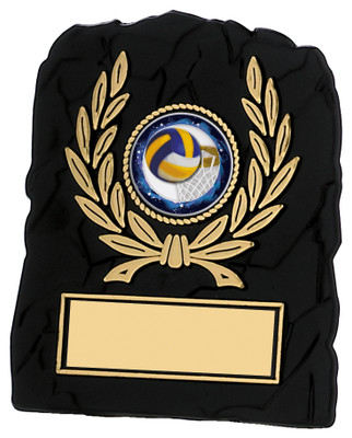 Black textured gold laurel multisport plaque