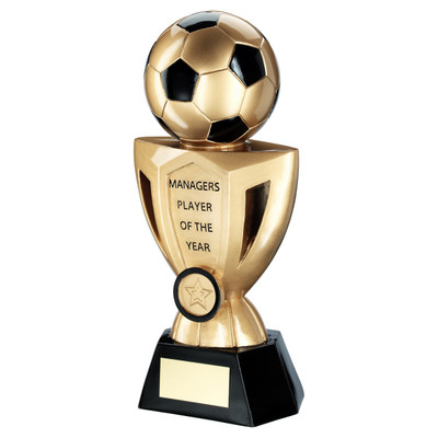 Annual Football Black & Gold Resin Cup Player of the Year Award   - personalised award from 1st Place 4 Trophies