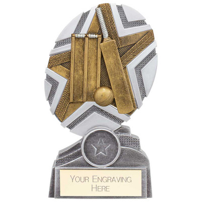 Cricket Bat, Wicket & Ball The Stars Plaque Trophy
