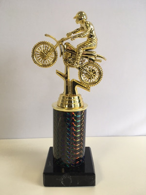 Mini Budget Gold BMX Biking Award