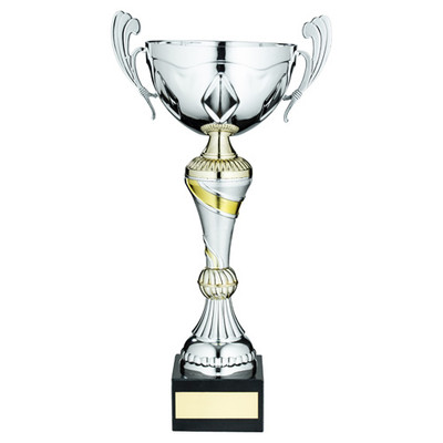 Silver & Gold Multisport Cup With Handles