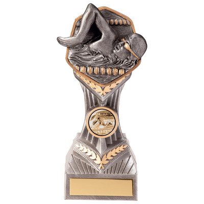 Falcon Swimming Silver & Gold Award - Male