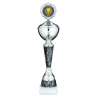 Silver Cup With Lid & Custom Logo