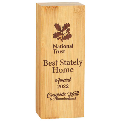 Bamboo Gaia Pillar Block Corporate Award Laser Engraving