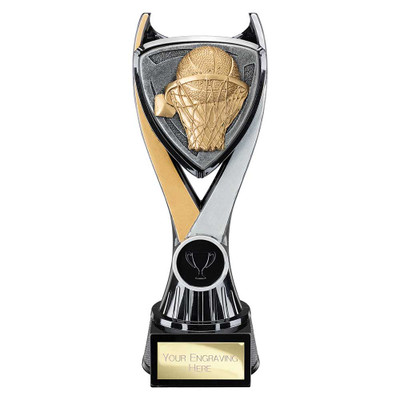 Wolverine Basketball Award 