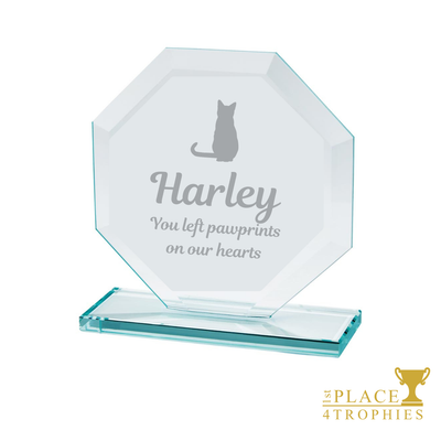 Personalised Pet Loss Cat Gift Rainbow Bridge Pawprints On Our Hearts