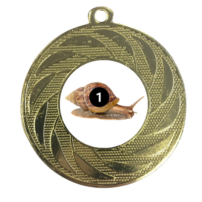 Snail Racing Medal Award Competition Prize