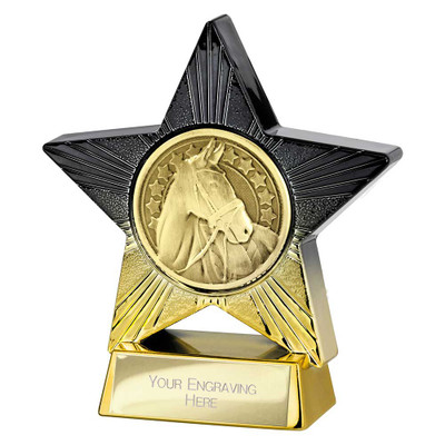 Superstar Equestrian Award Personalised Engraving