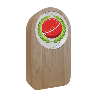 Cricket Award Wood & Glass 13cm Free personalised engraving at 1st Place 4 Trophies