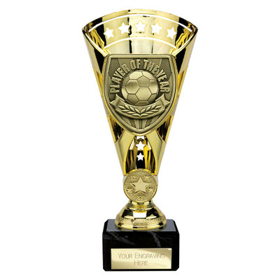 Football Cobra Star Cup Player of Year Award Free Personalised Engraving