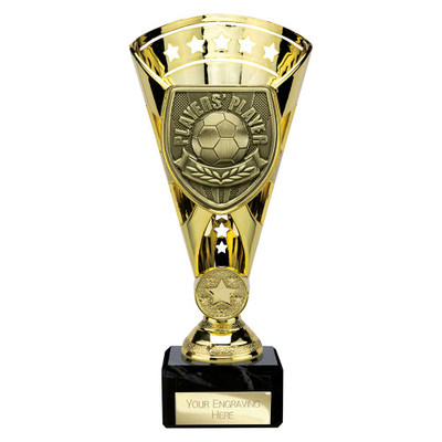 Football Cobra Star Cup Players' Player Award