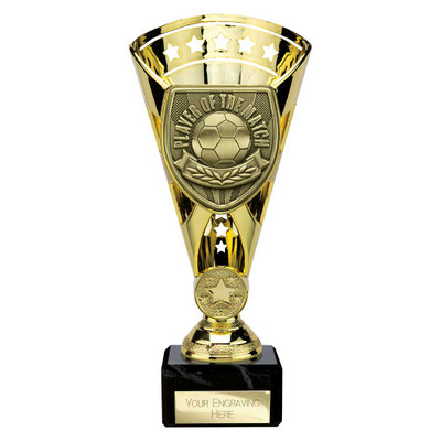 Football Cobra Star Cup Player of the Match Award Free Personalised Engraving