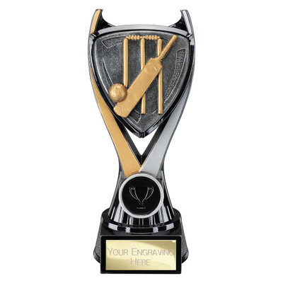 Wolverine Cricket Award Free Personalised Engraving