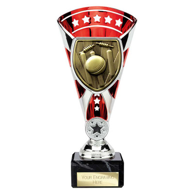 Red Cobra Star Cup Cricket at 1st Place 4 Trophies
