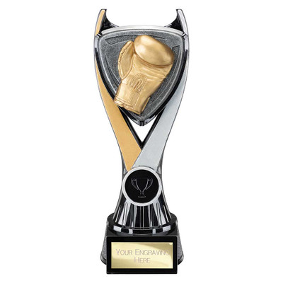 Wolverine Boxing Award