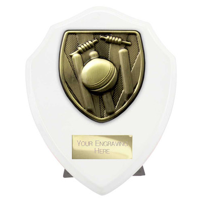 Cobra Shield Cricket Award 125mm Personalised Engraving