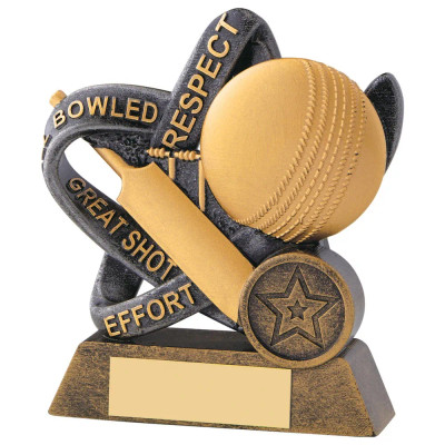 Cricket Infinity 4.25" Award County Club Team Effort Prize