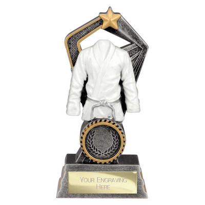 Martial Arts Resin Award Antique Silver & Gold Abyss Award 120mm