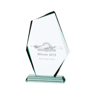 Glass Discovery Award 190mm Personalised Laser Engraving & Full Colour Printing at 1st Place 4 Trophies
