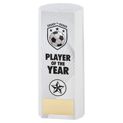 Player of the Year Award Football Team Trophies League Winners 