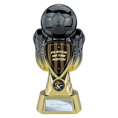 Player of the Match Football Tournament Award 245mm