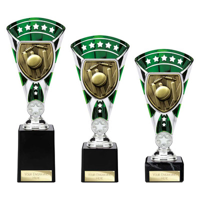 Cobra Star Cricket Green Award