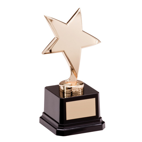 Stunning Challenger gold star achievement Award best seller great price