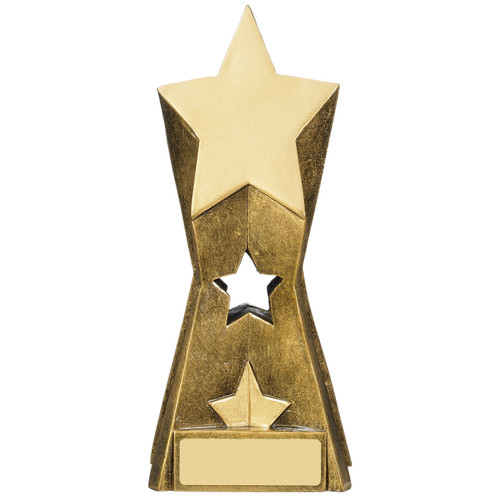 Gold Star Achievement Trophy for progress academic or sporting success