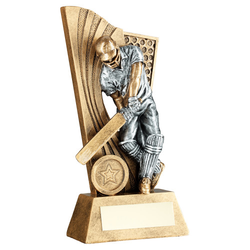 Fabulous cricket batsman trophy available with FREE engraving from 1stPlace4Trophies