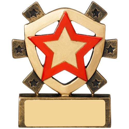 Star Shield Red House School Award 1st Place 4 Trophies