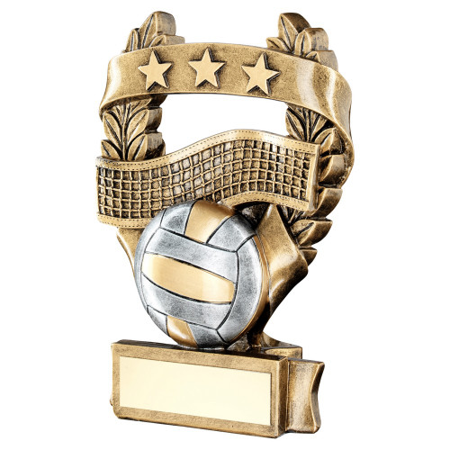 Volleyball trophy available in 3 sizes with FREE engraving