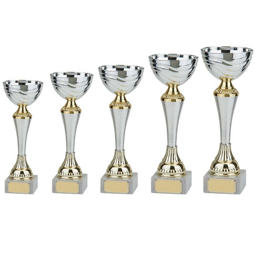 EVEREST Silver & Gold Cup Trophy Series