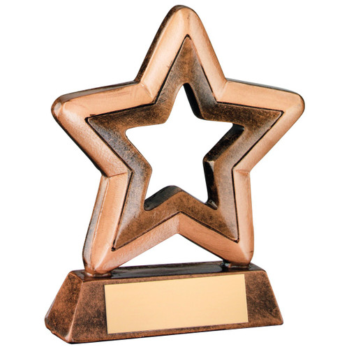 Weight Loss Mini Star Trophy Slimming Club Award